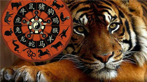 Китайский гороскоп на 2022 год. Кому Тигр принесет удачу?