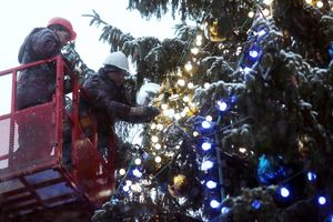 Главную новогоднюю ель страны в Москве украсили в стиле сказки «Морозко»