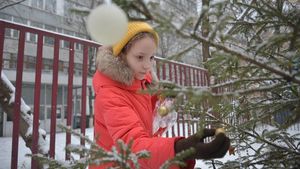 Синоптики сообщили о погоде в Москве 23 декабря