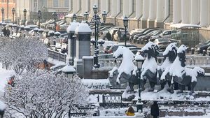 Последняя неделя декабря в Московском регионе начнется с морозов до 22 градусов