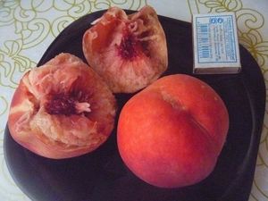 Персики из косточек