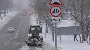 Метеоролог рассказал о погоде в последние выходные года в Петербурге