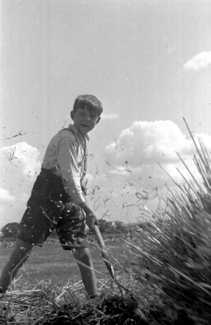 1948. «Битва за урожай» на снимках Берта Харди