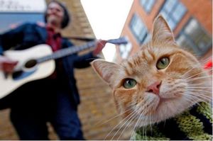 «Уличный кот по кличке Боб» — британский фильм