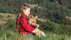 «Мой волк»: трогательная история настоящей дружбы девочки и дикого зверя