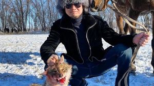 Убитое животное и побег с тоя: самые громкие скандалы этого года со звездами в Казахстане
