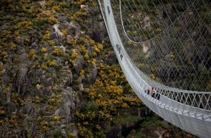 Фото дня: самый длинный подвесной мост для пешеходов