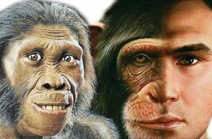 Видео: Что такое меланоцитарный невус, и может ли человек превратиться в обезьяну