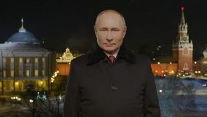 «НАТО щекочет русского медведя»: французы оценили новогоднюю речь Путина