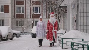 Стало известно, как россияне подрабатывают во время новогодних праздников