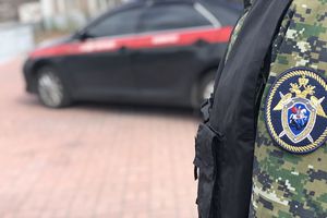 Задержаны двое подозреваемых в убийстве пятилетней девочки в Костроме