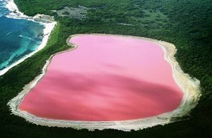 Почему розовые озера в Австралии остаются таковыми, и как на этом можно заработать