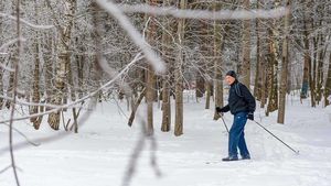 Один из лучших способов зимней тренировки: что важно знать о лыжных прогулках