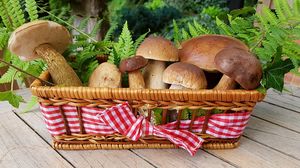 Сколько времени нужно варить грибы и как правильно