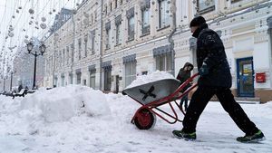 Почти тридцатисантиметровые сугробы появились в Москве после снегопада