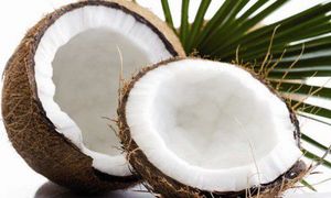 Как вырастить кокосовую пальму из кокоса