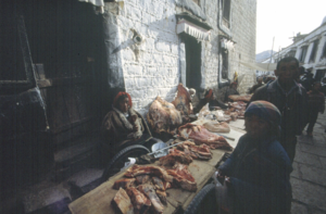1991. Тибет на снимках Франсуазы Демюльдер. Часть 1. Лхаса
