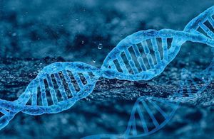 Жесткий диск долой: поразительное применение ДНК