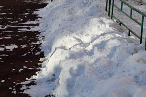 Синоптики зафиксировали новый рекорд по высоте снежного покрова в Петербурге