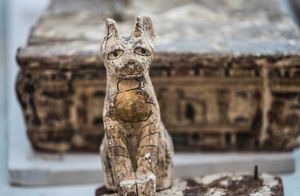 Видео: Древнеегипетское кладбище домашних животных и другие необычные находки