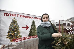 Россиян призвали сдавать на переработку новогодние ели