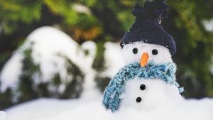 Школьные волонтеры приглашают москвичей поучаствовать в флешмобе снежных фигур
