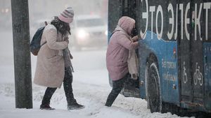 Московские автобусы и электробусы перевезли более 10 миллионов пассажиров за новогодние праздники