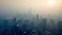 Астма и смертность: воздействие городского воздуха может быть опасным для здоровья