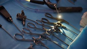 Трансплантолог оценил операцию по пресадке человеку сердца свиньи