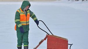 Зачем на прудах в Москве зимой ставят красные ящики