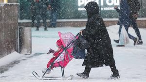 Синоптики рассказали москвичам о погоде 13 января