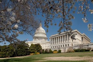 Голосование по законопроекту о санкциях в отношении СП-2 пройдет в США 13 января