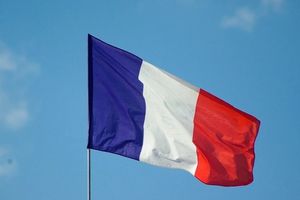 Французский Сенат одобрил законопроект о введении вакцинного пропуска в стране