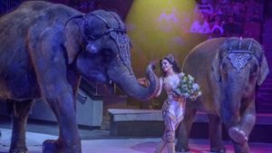 Цирк стоит на двух слонах: наследники семейства артистов открыли «Вечерней Москве» тайны искусства