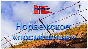 Норвежский забор на границе с Россией – двести метров позора
