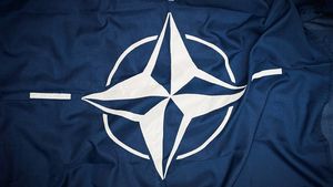 Джонсон и Столтенберг обсудили право Украины на вступление в НАТО