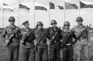 «Советское НАТО»: какая армия была у Организации Варшавского договора