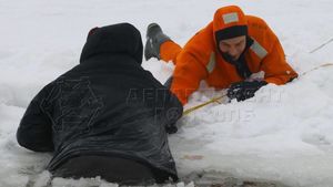 Мужчина с собакой провалились под лед в районе столицы Нагатинской затон