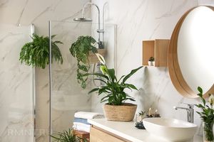 Растения в ванной комнате и душевой: зачем и какие