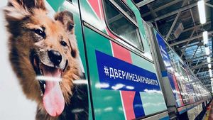 Новые фото животных с QR-кодами появились в поезде «Хвосты и лапки» московского метро