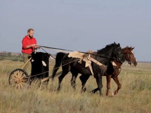 На Южном Урале сняли фильм про найденную в Аркаиме древнейшую колесницу