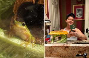 11 фото о том, как парень нашел в покупном салате лягушку и сделал её своим питомцем