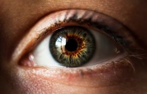 Повсюду обман: 7 особенностей глаз, в которые может быть сложно поверить