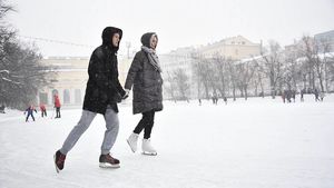 «Снег и ослабление морозов»: синоптики сообщили москвичам о погоде 21 января