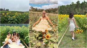 Австралийцы стекаются на потрясающую цветочную ферму, чтобы сделать идеальный снимок для соцсетей