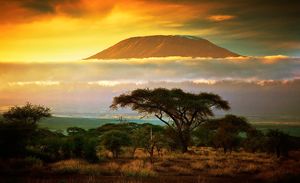 Фоторепортаж: Кения - туристическая жемчужина восточного побережья Африки  