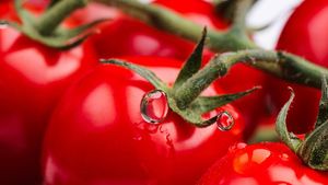 Ученые выявили пользу помидоров в борьбе с тромбозом