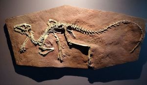 Палеонтологи выяснили, что динозавры могли дышать по-разному    