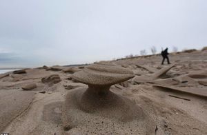 10 фото причудливых скульптур, внезапно возникших у озера Мичиган: откуда они взялись