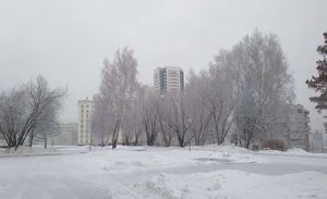 Зима возле СФУ  